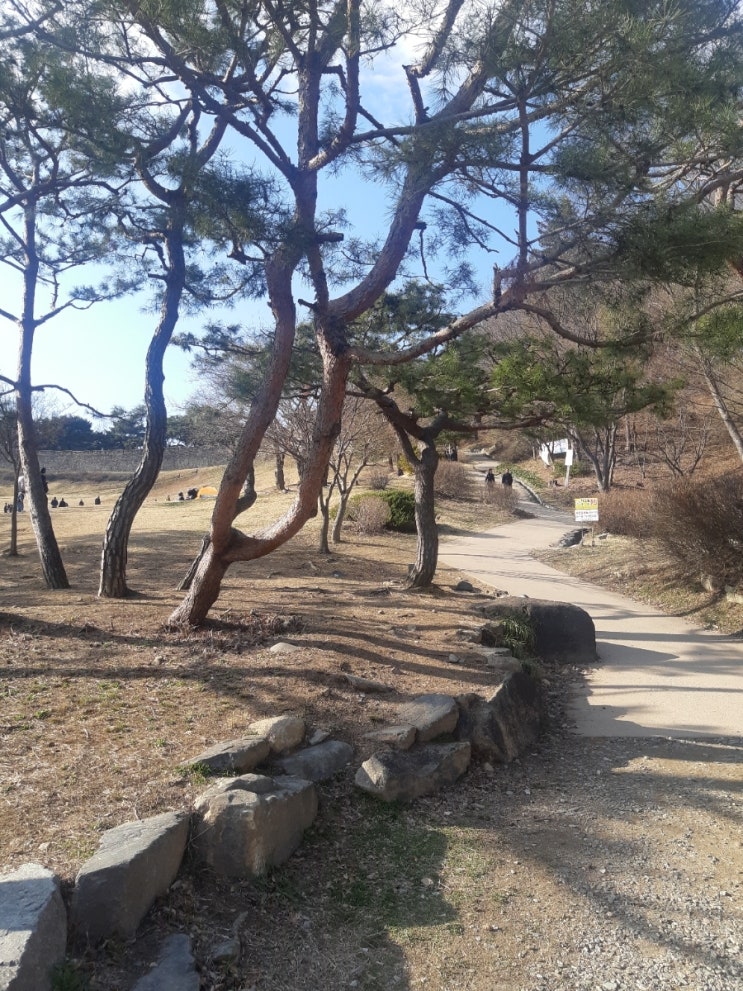 참스시 이미지