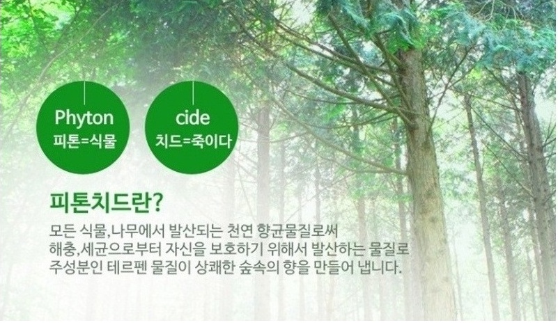 이심재 이미지