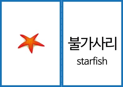 톡톡키즈에듀 이미지