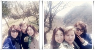 꽃바람미용실 이미지