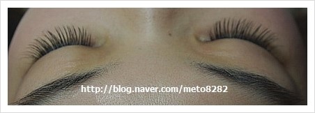 고양이속눈썹 이미지