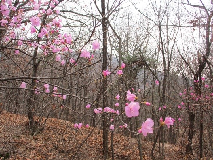 승산월드투어 이미지