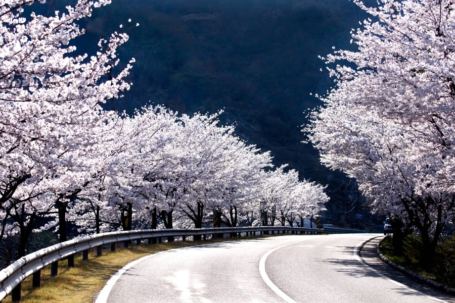 합천민박 이미지