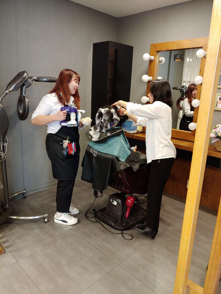 보그헤어샵 이미지