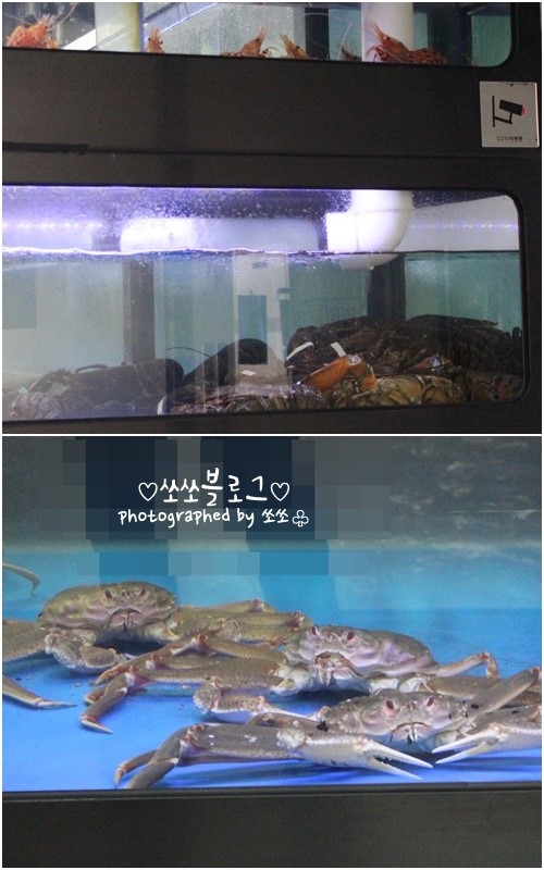 스타크랩 이미지