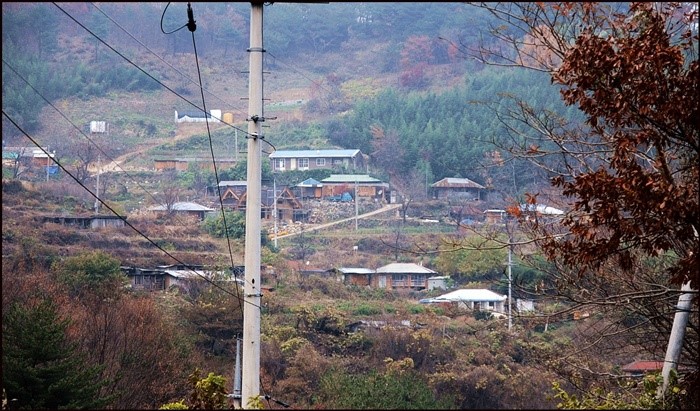 유도리야 이미지