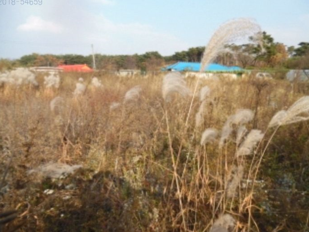 [국도32] 당진시 거산리 이미지