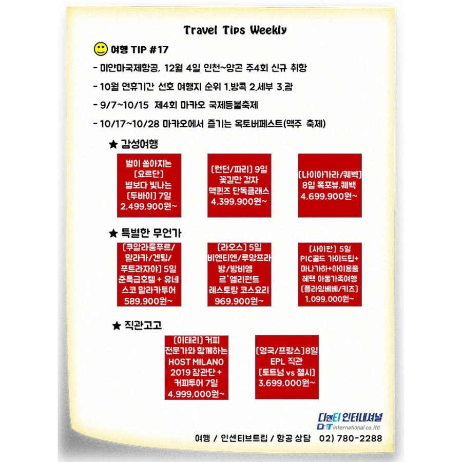 디앤티인터내셔널 이미지