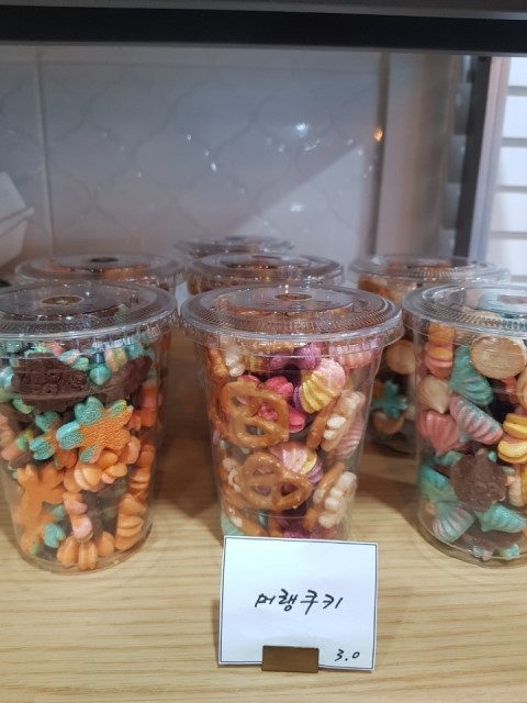 나지금제주 이미지