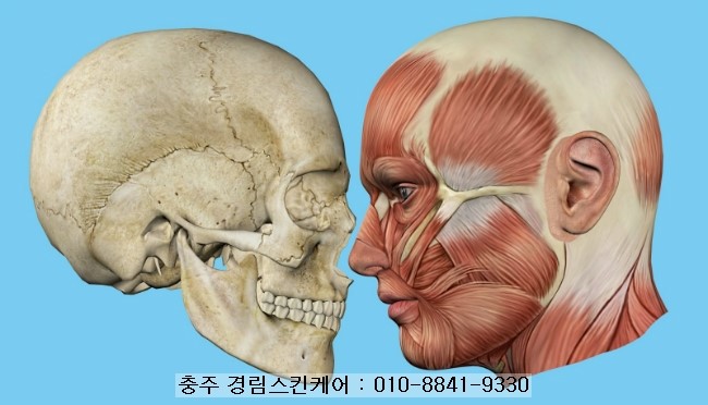경림 이미지
