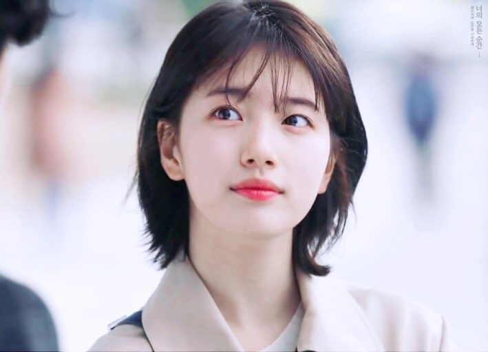 파슈 이미지