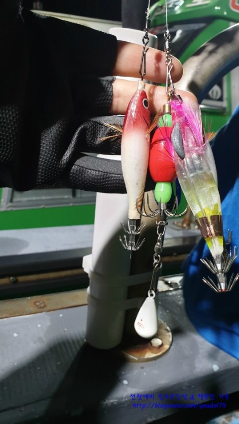 이프로2호 이미지