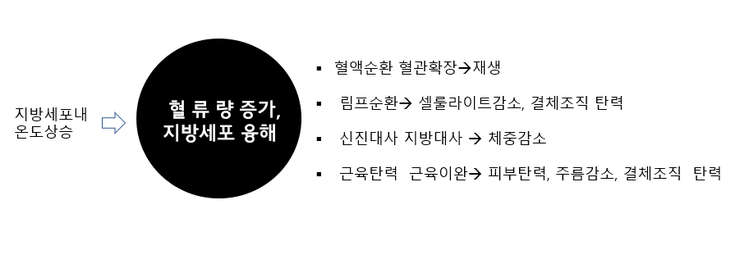 V라인S라인 이미지
