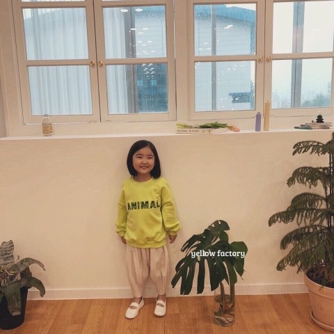 블루베베 이미지