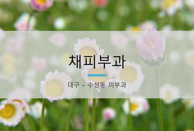 채피부과 이미지