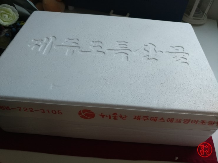 보화관광 이미지