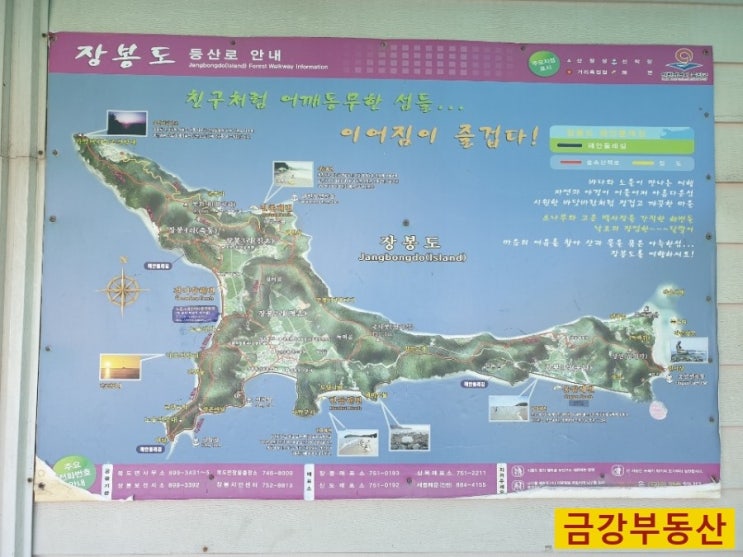 형제자전차 이미지