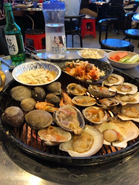 피터콤마 이미지