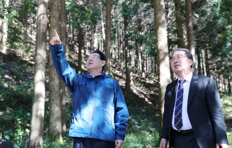 기적의힐링숲 이미지