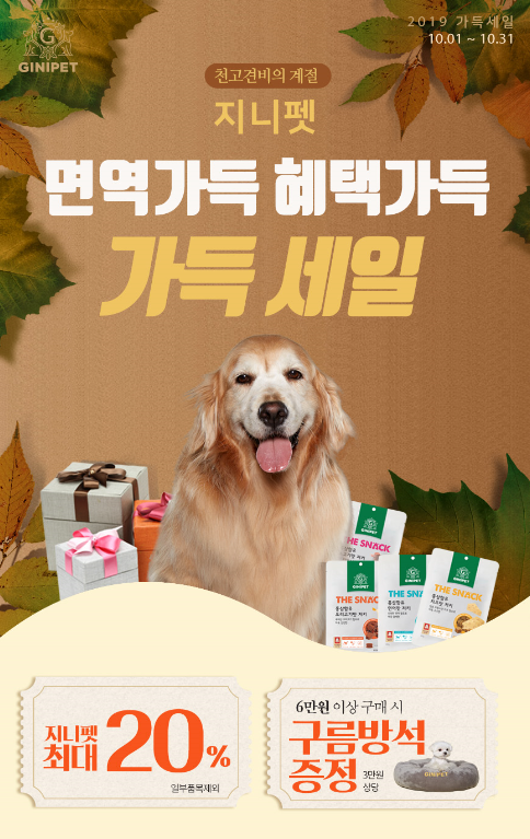 주니지니 이미지