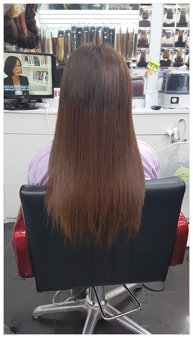 도도걸스 이미지