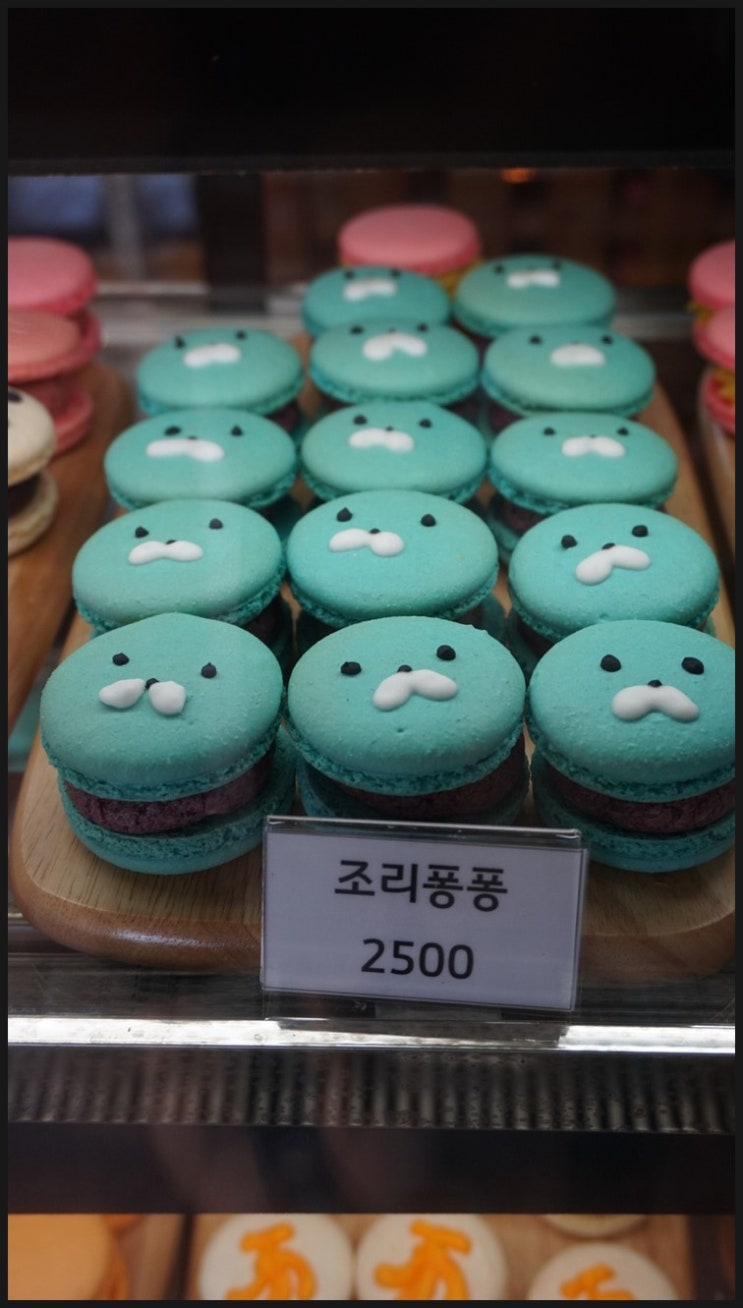 더마카롱 이미지