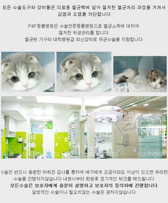 피엔피PC 이미지