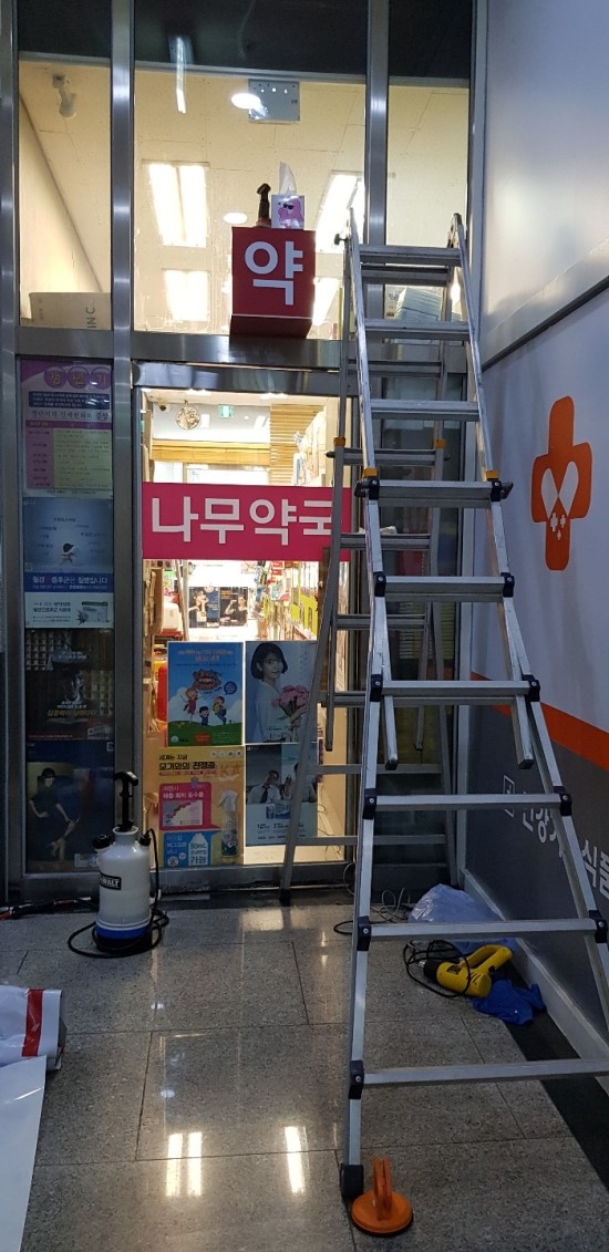 밝은실사 이미지