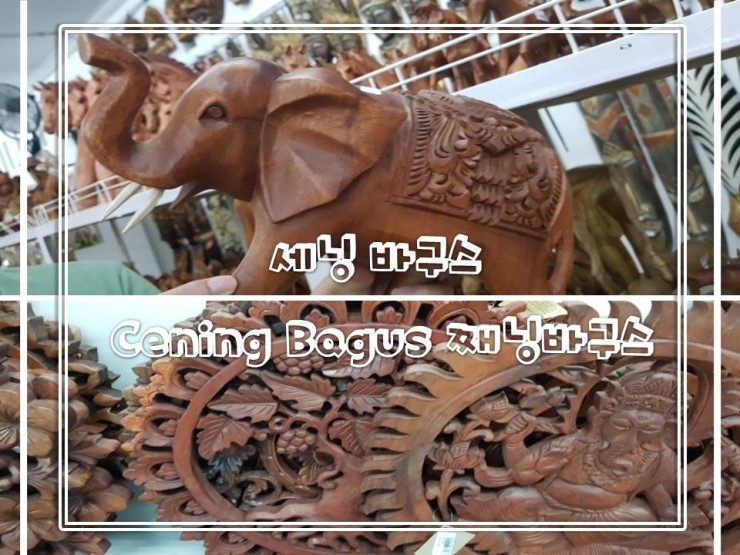 바구스(Bagus) 이미지