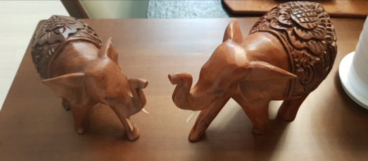 바구스(Bagus) 이미지