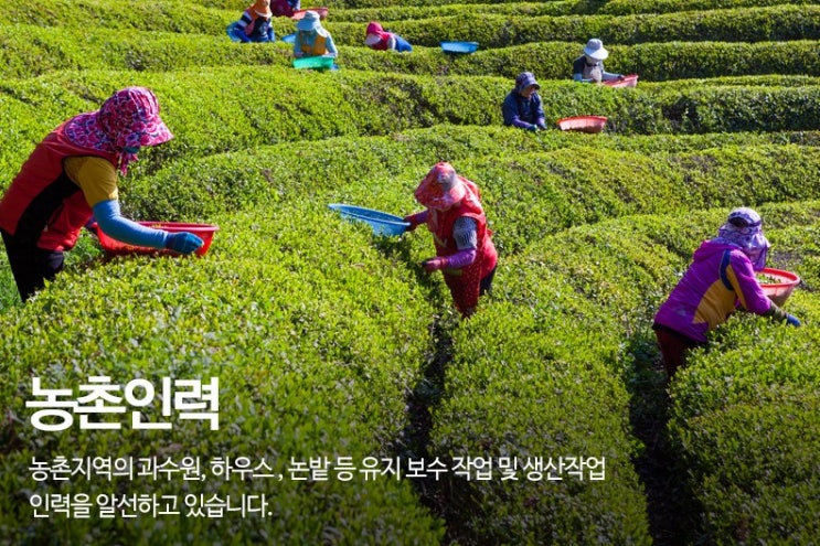서부인력 이미지