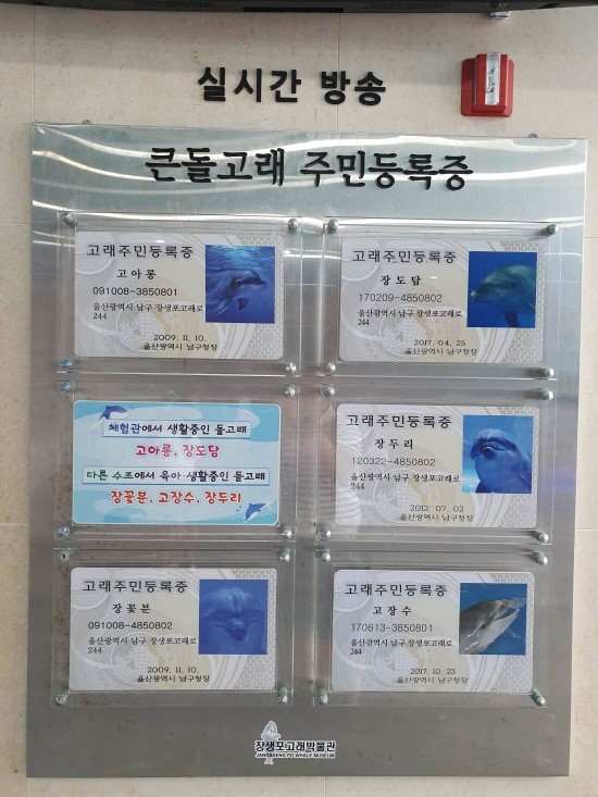 고래바다PC 이미지