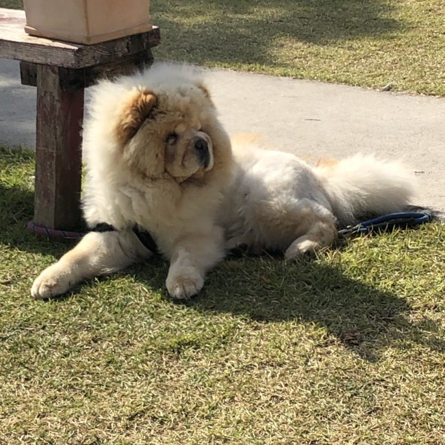 오차드마켓 이미지