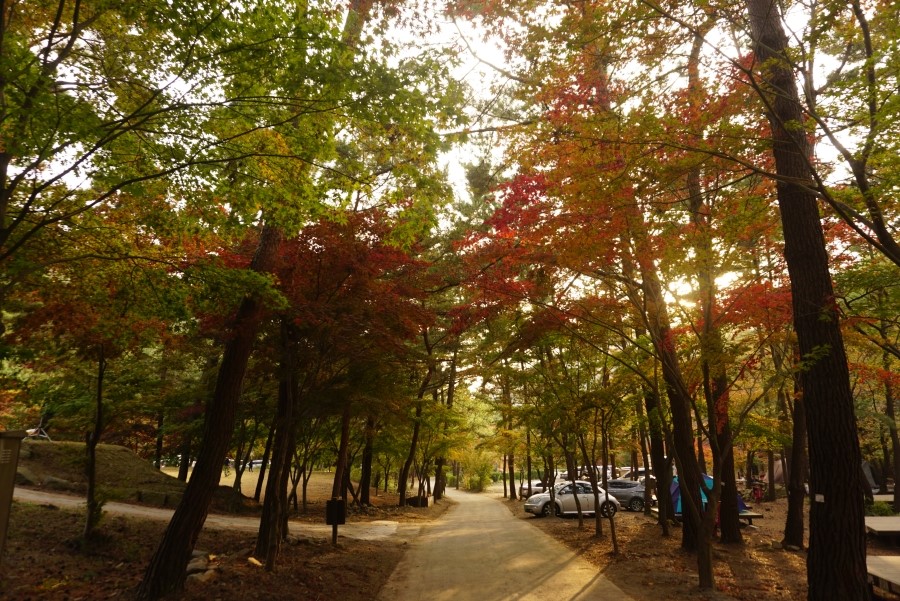 희리산(희이산) 이미지