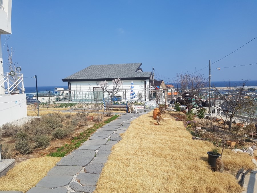 아야진항 이미지