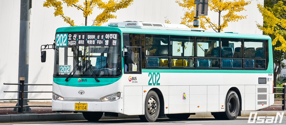 대흥여행사 이미지