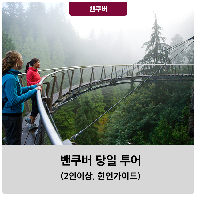 엘티이투어 이미지