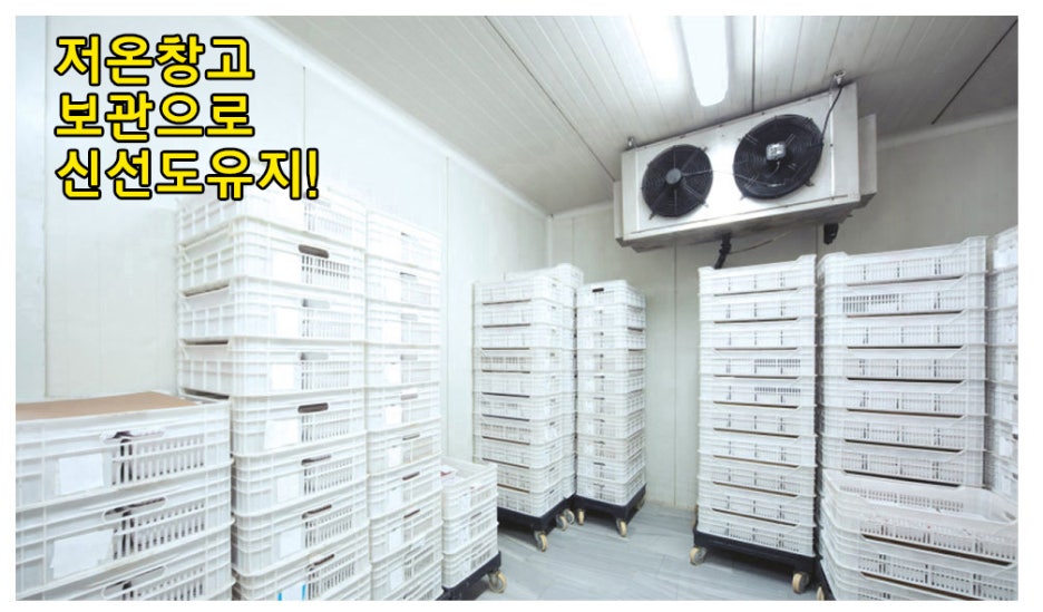 새싹농원 이미지