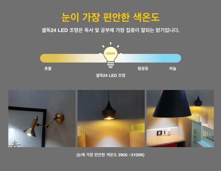 셀독24스터디카페신곡점 이미지