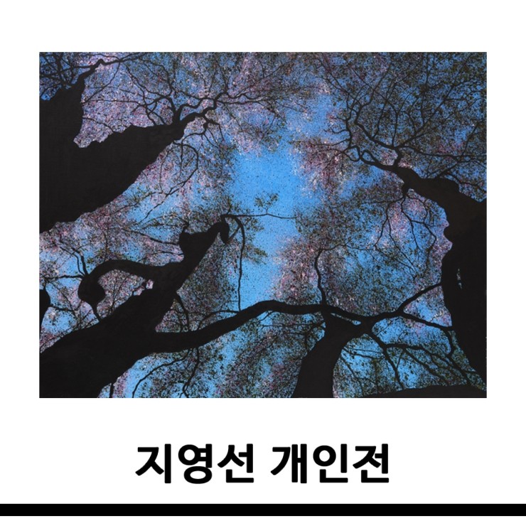 갤러리H 이미지