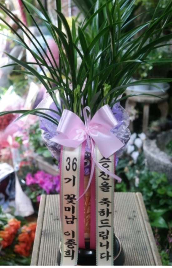 신세계꽃집 이미지