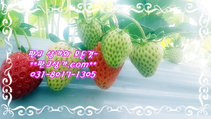 아라면 이미지