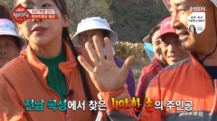 황금농산 이미지