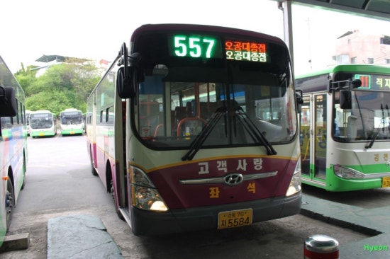 뉴현대마트 이미지