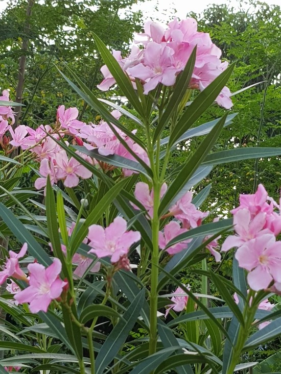 글로벌산업가스 이미지