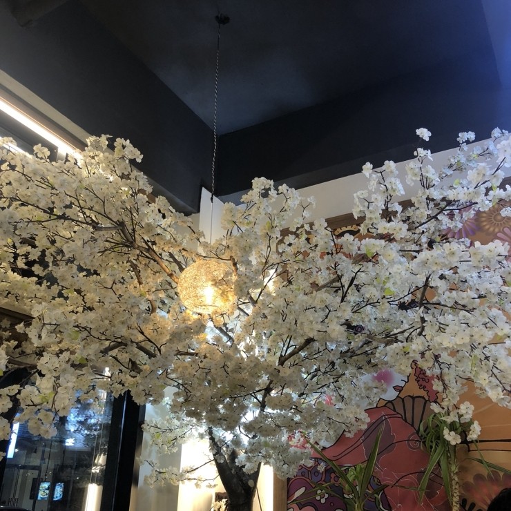 해화무 이미지
