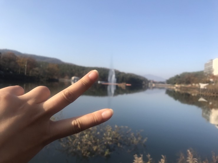동네고모 이미지