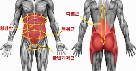 잇서블짐 이미지