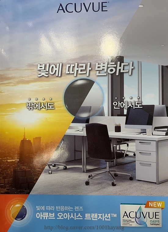 랜오아시스 이미지