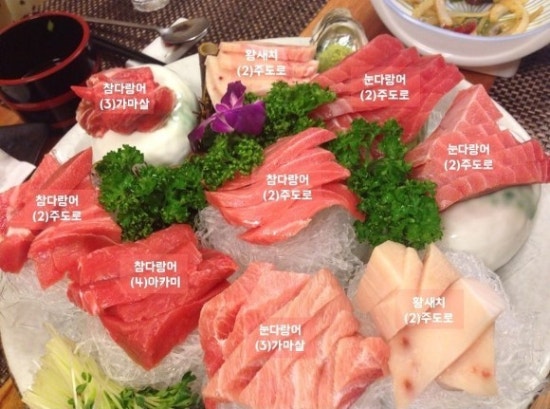 초이참치 이미지